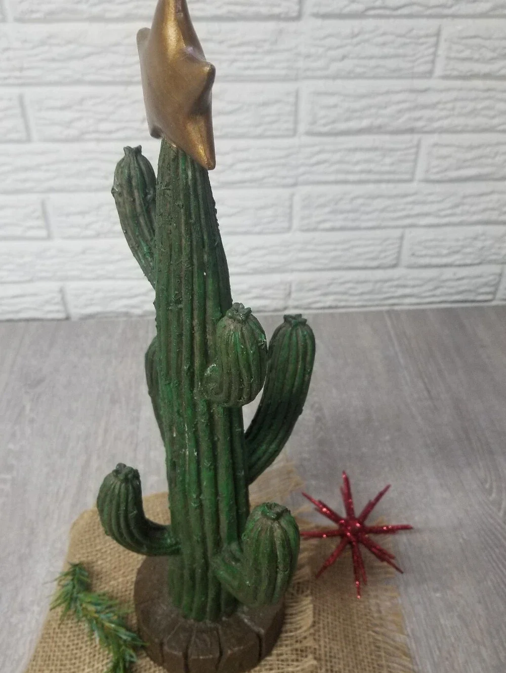 Cactus Christmas 